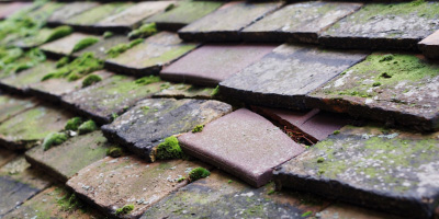 Llangybi roof repair costs